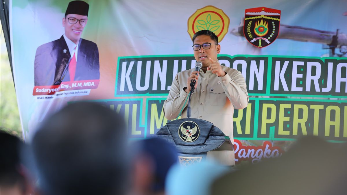 Wamentan Sudaryono soal Praktik Pemalsuan Pupuk: Zalim, Jahat terhadap Petani