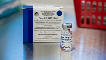 Russian Minister Of Health: No Barriers To WHO Approval Of Sputnik V COVID-19 Vaccine