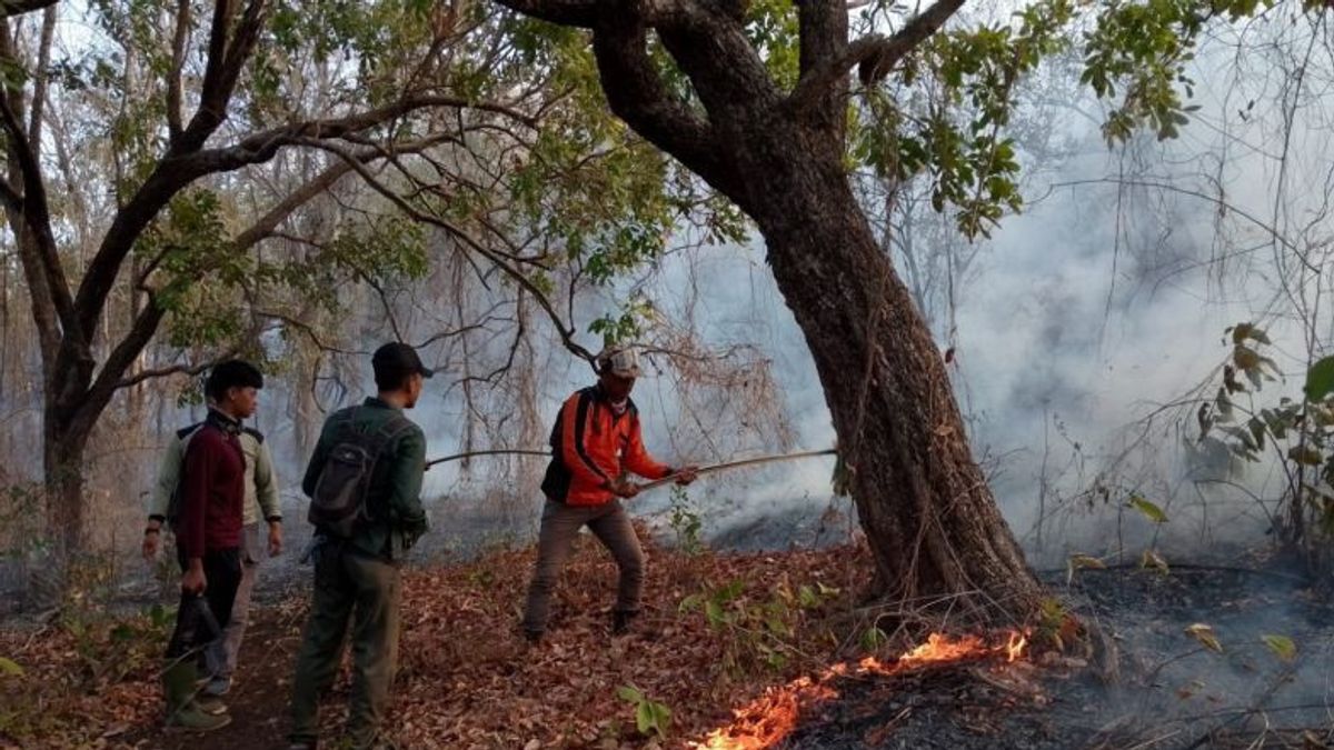 Karhutla dans le parc national de Baluran Situbondo atteint 2,18 hectares