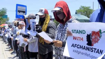 6名阿富汗外国人移居雅加达，现为NTT法律和人权部收容197名难民
