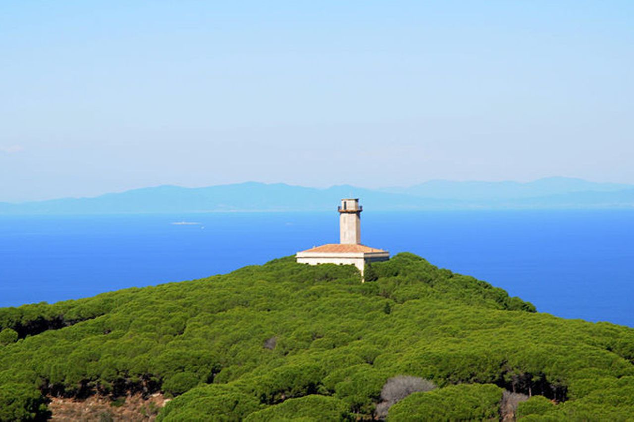イタリアのジリオ島がCOVID-19に免疫がある理由に関する科学者の理論