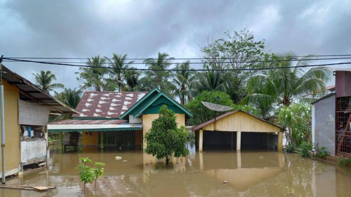 自上周三以来，明古鲁数百所居民的房屋被淹没，高度接近2米