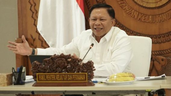Wamen KP Sebut Kopdes Merah Putih Langkah untuk Bangun Ekonomi Pesisir