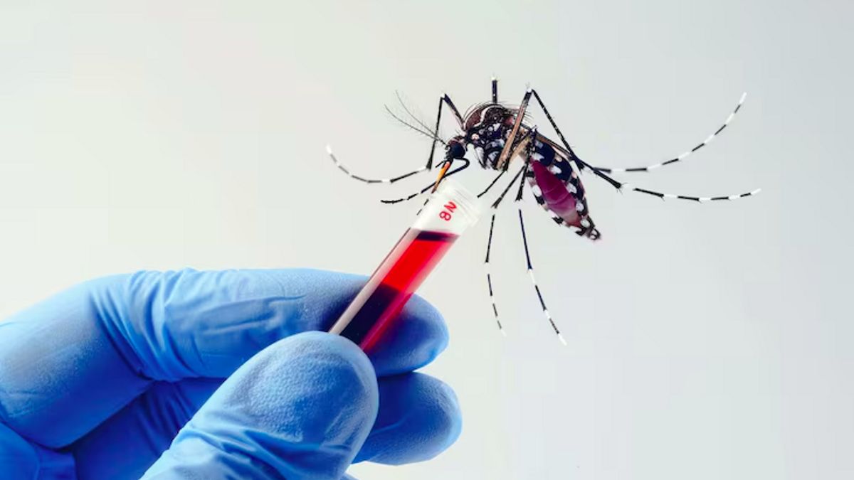 Kasus DBD Masih Tinggi, Vaksinasi Dinilai Bisa Perkuat Perlindungan