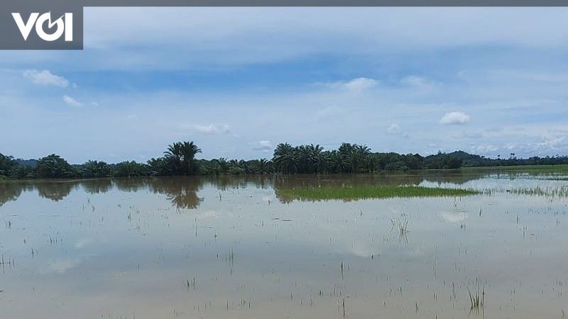 アマゾンが危機に瀕：森林劣化が感染症の再発を助長