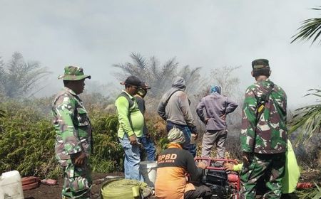 Bekas Karhutla di Nagan Raya Kembali Terbakar