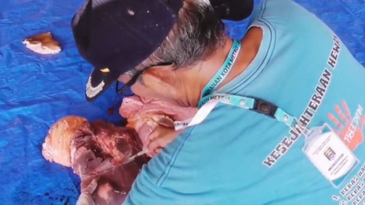 楠榜地铁市感染肝吸虫的82例献祭动物病例