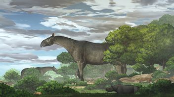 Chinese Researchers Reveal Ancient Giant Rhinoceros Weighed Four Times As Much As African Elephants