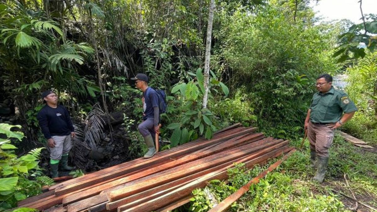 TNKS Bengkulu-Sumsel Sita Ratusan Potong Kayu Hasil Pembalakan Liar