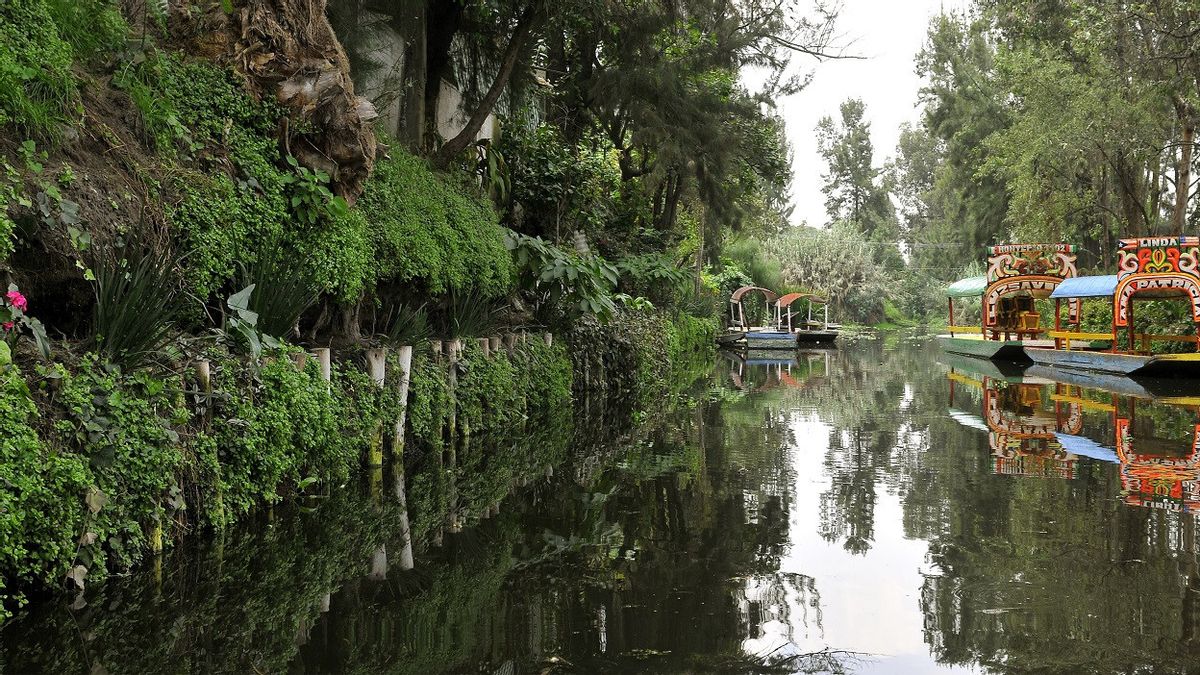 墨西哥城利用太阳能清洁历史悠久的阿兹特克-埃拉运河