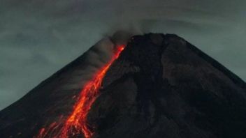 Mount Merapi Launches 13 Times Lava Falls Leads To Bebeng River As Of 06.00 WIB