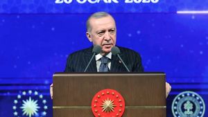 Bicara dengan Presiden Pezehskian, Erdogan Siap Jadi Mediator Iran-AS