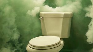 Mimpi Buang Air Besar di Celana: Bisa Jadi Pertanda Baik Atau Buruk
