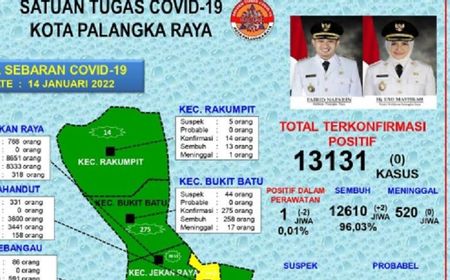 Kabar Baik, Pasien COVID-19 di Palangka Raya Tinggal Satu Orang