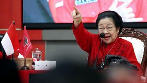 PDIP Anti-politik Dinasti, Djarot Singgung Megawati dan Puan Maharani Berkarier dari Bawah