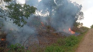 Masuk Musim Kemarau, Satu Hektare Lahan Terbakar di Aceh
