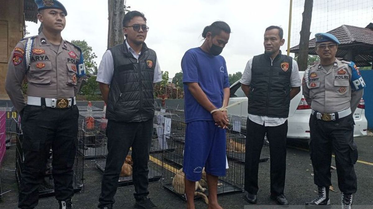 Banyumas Police Name 1 Garut Resident Suspect In Case Of Delivery Of 31 Dogs For Consumption