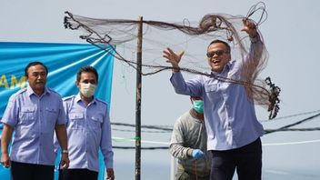 KKP Minister OTT Edhy Prabowo Allegedly Related To The Export Of Shrimp