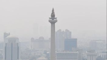 Wamenkes: Polusi Udara Jadi Prioritas Penanganan Pemerintah