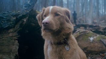 グッドボーイ映画、ベンレオンバーグオウムのPOVホラー