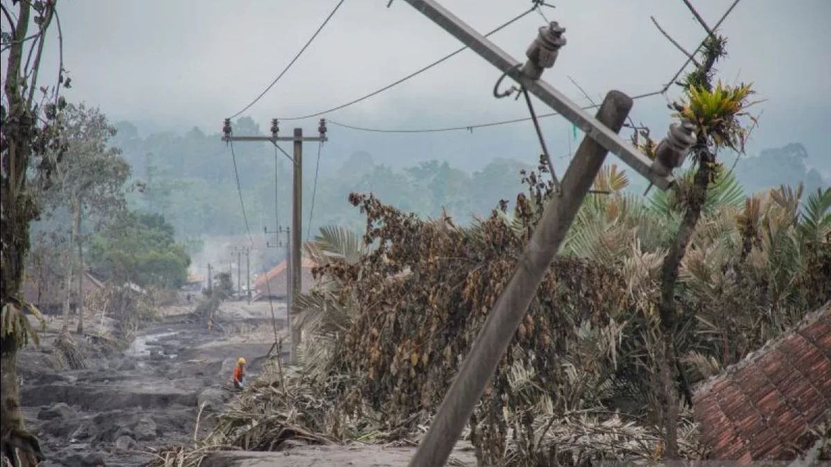 Catat 2.919 Bencana di RI Dalam 11 Bulan, BNPB: 98,97 Persen Hidrometeorologi 
