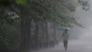 異常気象警報、BMKG:ほとんどすべての州で雨が降る可能性があります
