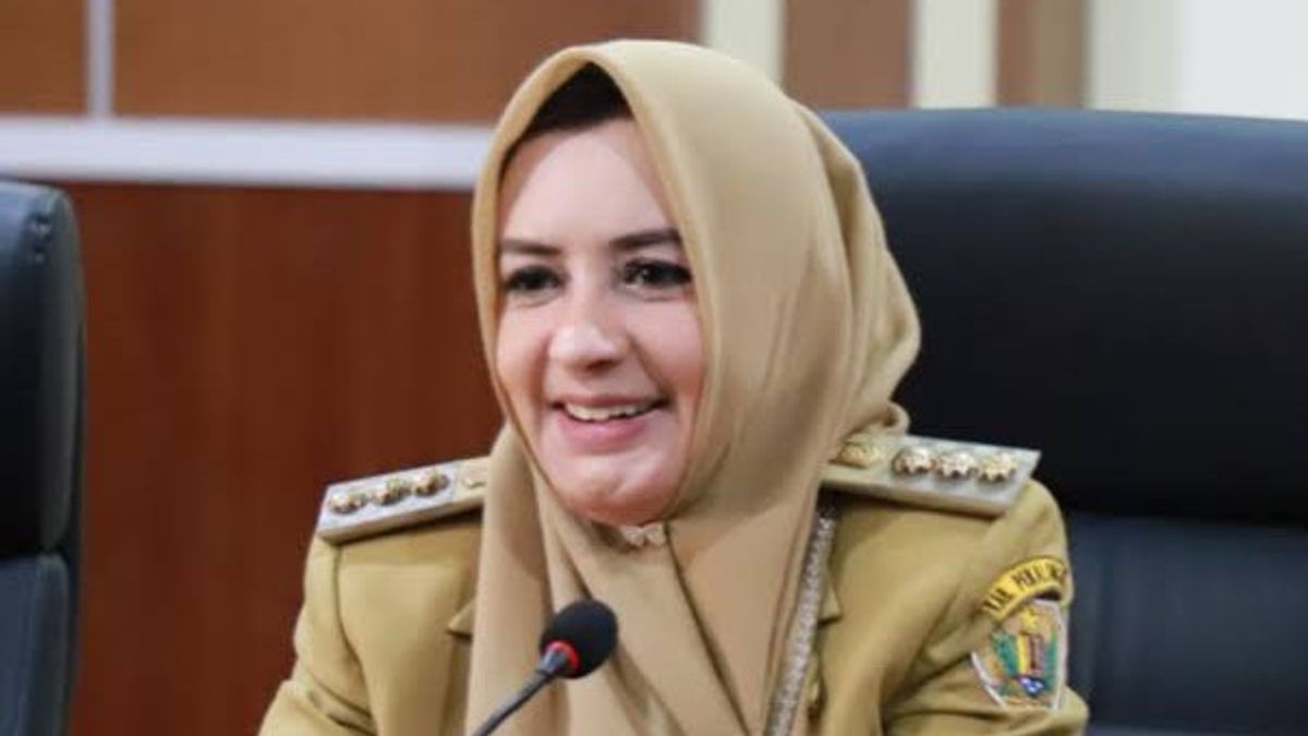 ملخص عن فادية عراقيق: مغنية دانغدوت، عمدة، حتى مكتب مكافحة الفساد التابع للجنة الانتخابية المركزية
