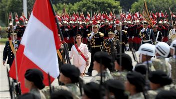  一些邻国的价值被误解，秘鲁总统博卢阿特：发生的事情是宪法秩序的崩溃