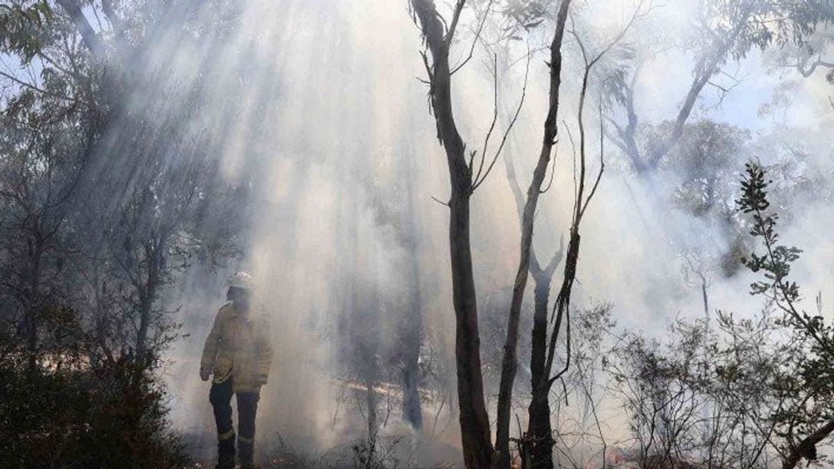 MoEFは、インドネシアは林業ビジネスアクターのための森林と土地火災処理の参照の標準化が必要だと述べています