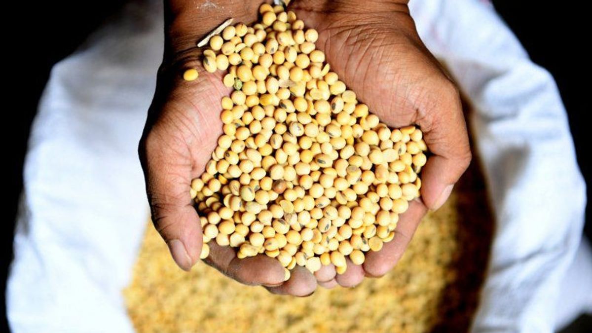 حدد باباناس على الفور السعر المرجعي المحلي لفول الصويا عند 10000 روبية للكيلوغرام الواحد ، وقال إنه يجب أن يكون قادرا على توفير فوائد للمزارعين.