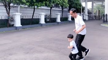 Le Frisson De Jokowi-Jan Ethes, Appel Vidéo Presque Tous Les Soirs