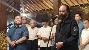 Sahroni Benarkan Prabowo Bakal Kunjungi NasDem Tower Siang Nanti, Bahas Apa?