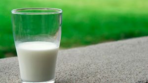 Bukan Sekadar Minuman, Ini 4 Manfaat Rutin Minum Susu Setiap Hari