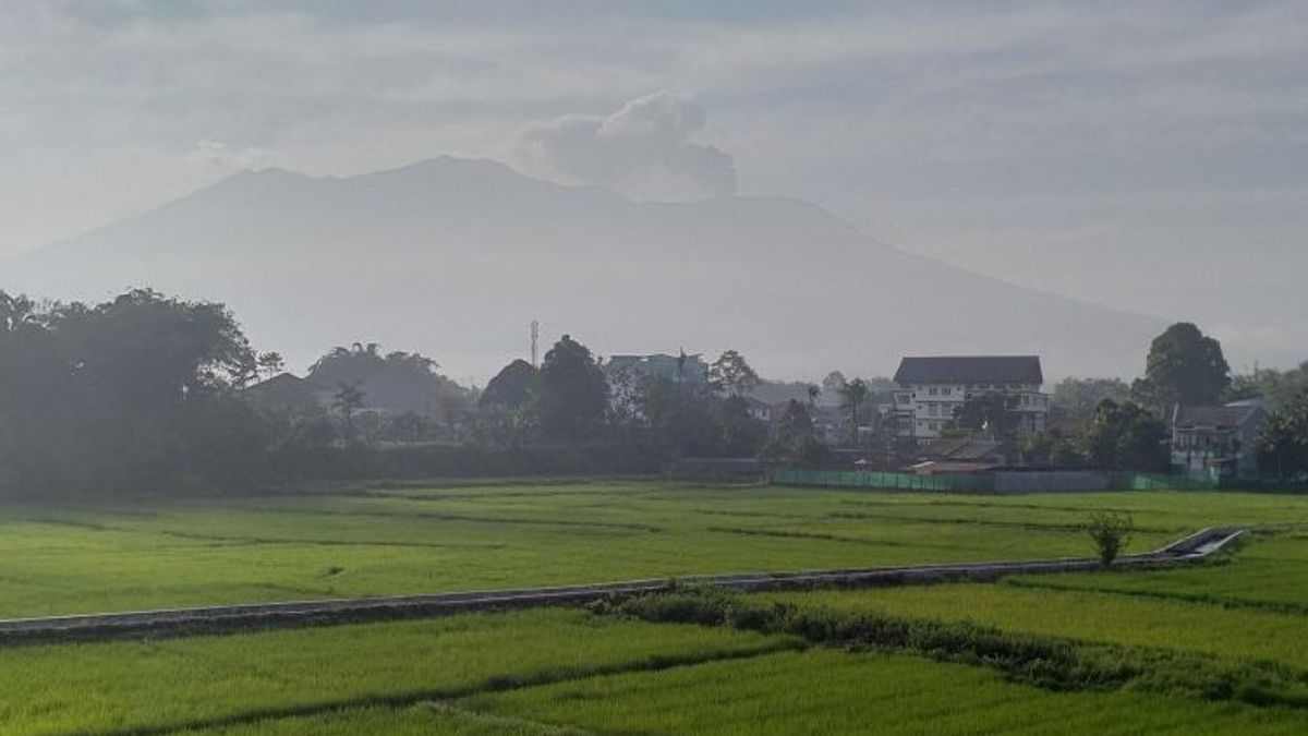 PVMBG: Status Gunung Marapi Naik ke Level Siaga