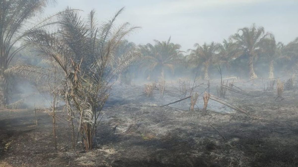 Police Investigate Land Burning Case Near Mukomuko Hospital