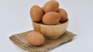 Makan Telur Setiap Hari Bisa Bikin Kolesterol Naik, Benarkah?