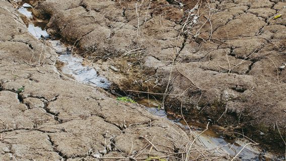 干ばつに慣れている住民、プアンは地域インフラの改善を思い出させる