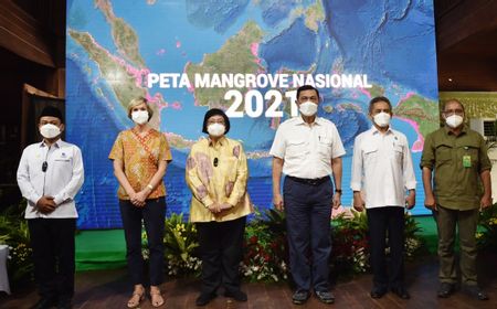 Peta Mangrove Nasional Terbaru Diluncurkan, Jadi Baseline Pengelolaan Rehabilitasi Secara Nasional