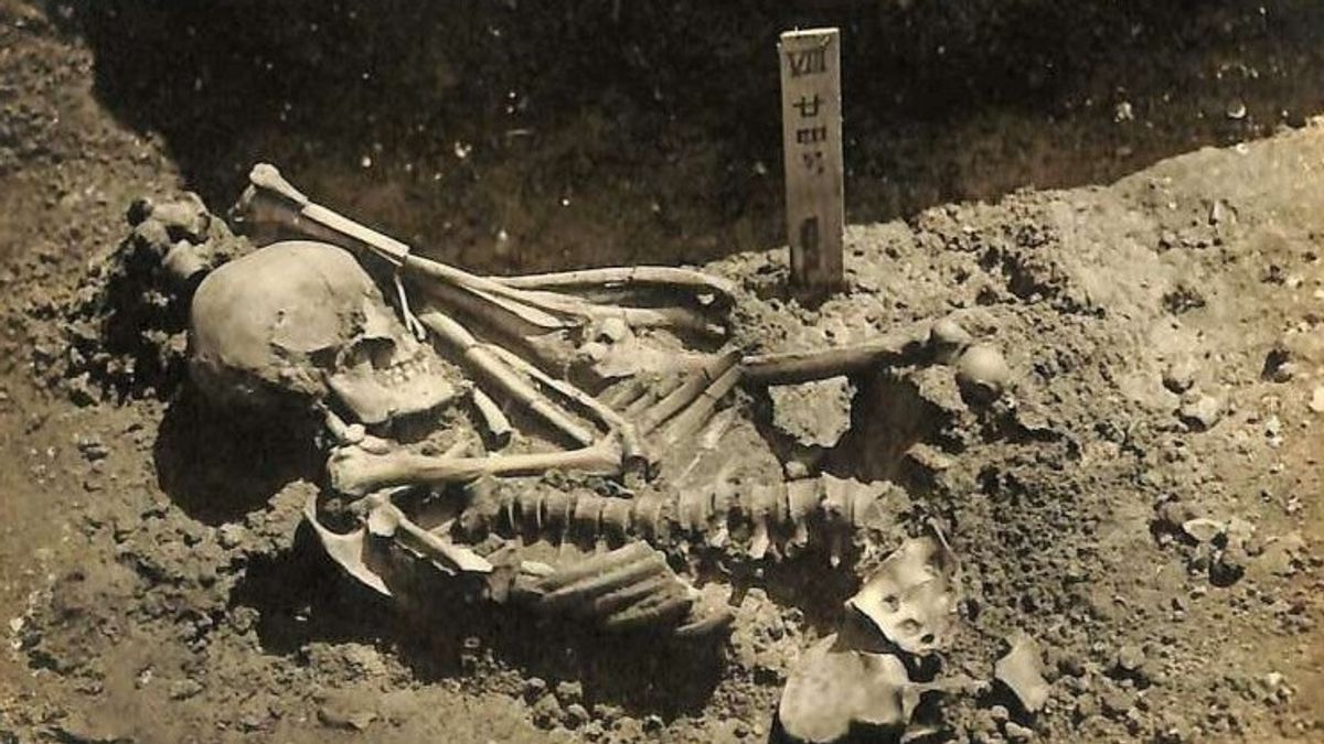 العثور على ضحية هجوم قرش عمرها 3000 عام في اليابان