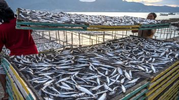 KKP Perketat Pengawasan Pendaratan Ikan di Pelabuhan Perikanan, Ini Tujuannya