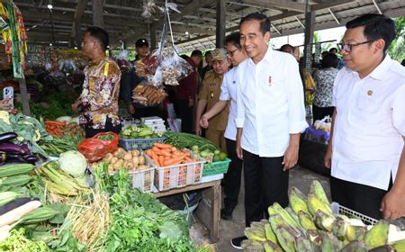 Konsisten Perangi Kelaparan dan Kemiskinan, Presiden Jokowi Raih Penghargaan dari FAO