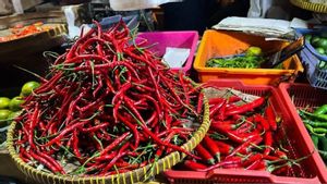 Harga Cabai Rawit Kamis 6 November Capai Rp41.350 per Kg, Telur Ayam Rp31.450 per Kg