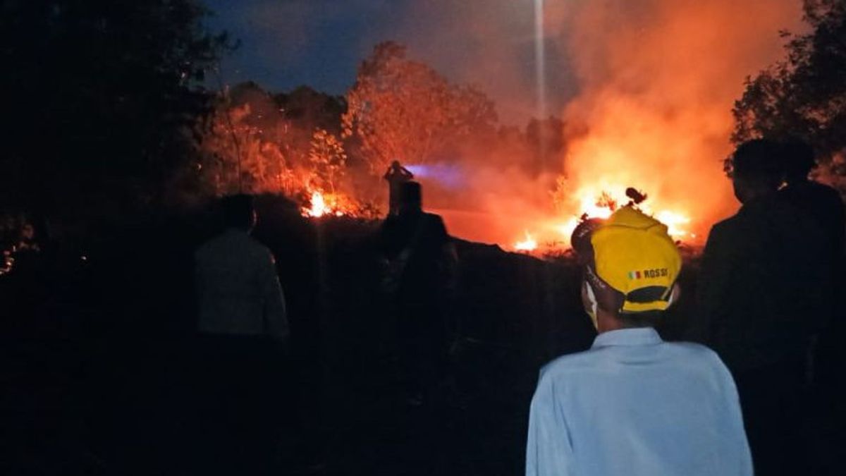 One Hectare Of Land In Bintan Regency Burns