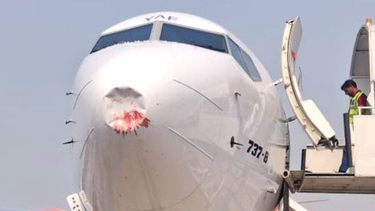 Collised By A Bird After Off Lands, The Nose Of The Boeing 737 Max Aircraft This Is ATTENDANT