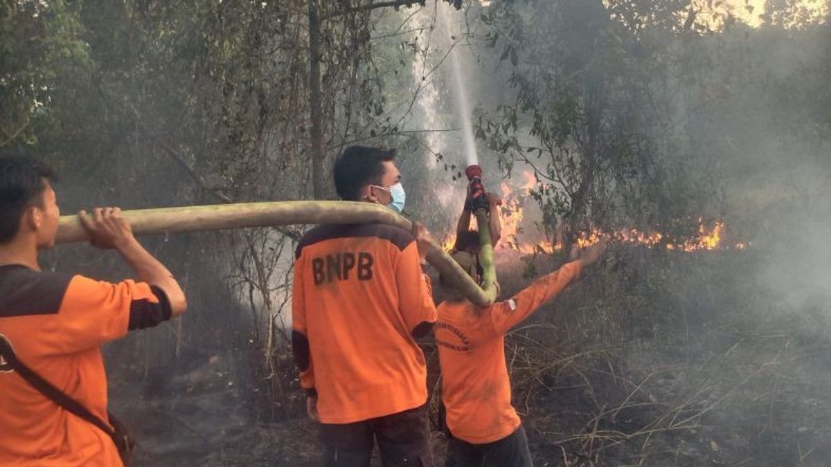 Task Force Extinguishes 8 Karhutla Points At OKU South Sumatra