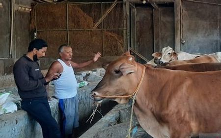 Antraks Serang Gunung Kidul, Peternak di Boyolali Diminta Waspada