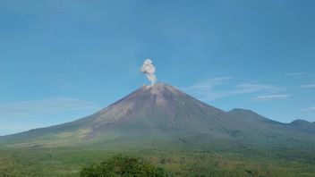 星期一早上,塞梅鲁山投射高达800米的火山阿布