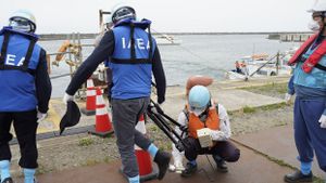 Ilmuwan Internasional Uji Ikan di Fukushima Usai Pelepasan Air Limbah Radioaktif ke Laut