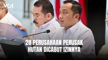 28 PKH-Related Companies Have Their Permits Cancelled, Prabowo Requests That Community Economic Activities Not Be Interrupted