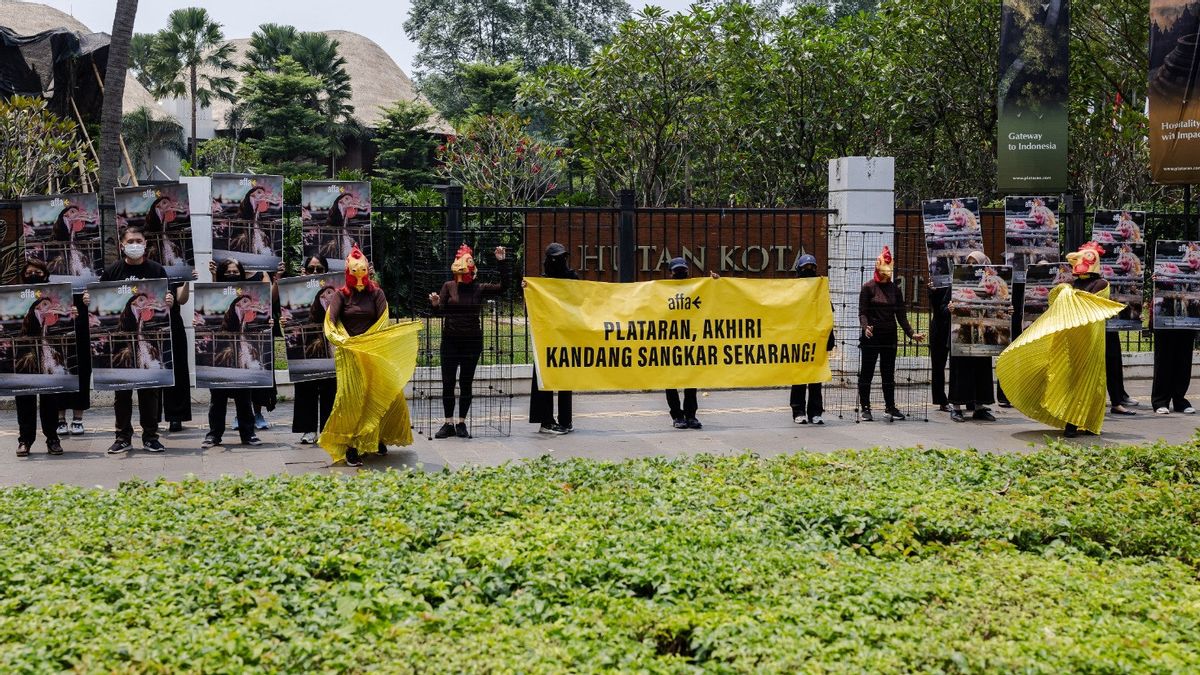 Koalisi Animal Rights Tuntut Plataran Berkomitmen pada Telur Bebas Sangkar